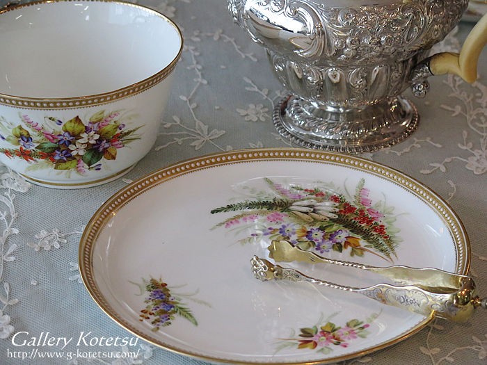 CE[X^[Jbv\[T[ royalworcestercup&saucer