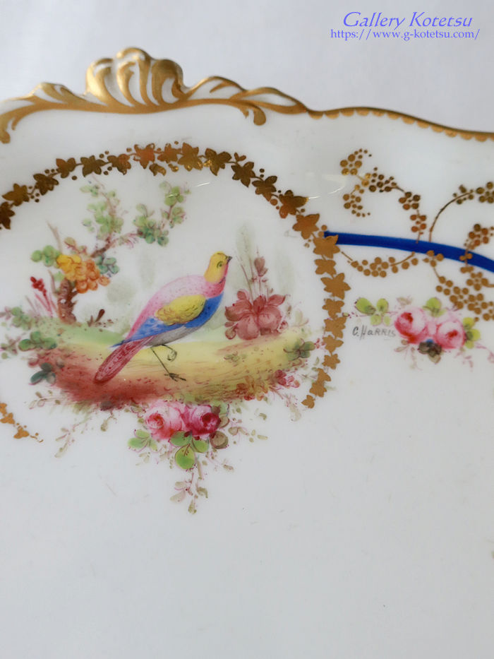 ���C�����N���E���_�[�r�[ royalcrownderby