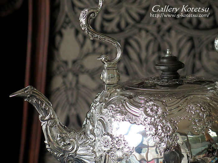 �V���o�[�e�B�[�P�g��