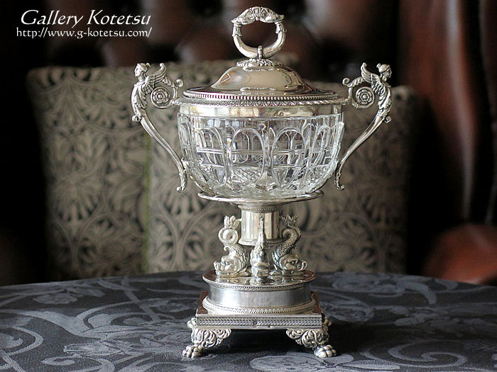 �V���o�[�@�h���W�F���G Drageoii