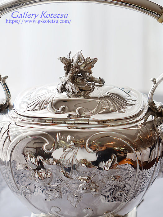 �V���o�[�e�B�[�P�g��